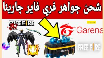 جواهر فرس فاير 1