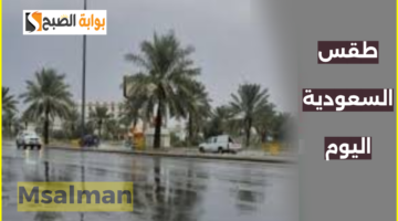 حالة طقس السعودية 4