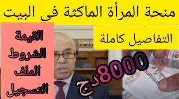 خطوات التسجيل في منحة المرأة الماكثة في البيت 2024 وحقيقة تطبيق الزيادة