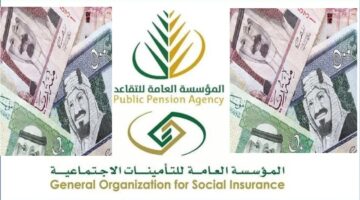 خطوات التقديم على التعاقد المبكر 1446 بالمملكة العربية السعودية وأهم الشروط المطلوبة0