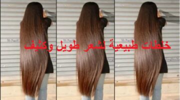 خلطات طبيعية لشعر طويل وكثيف