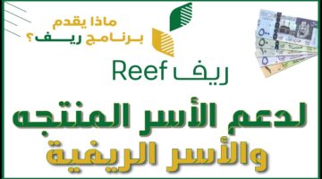 دعم ريف 2
