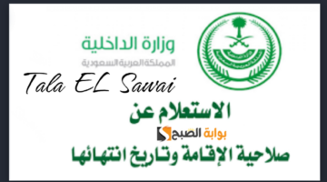 رابط استعلام عن صلاحية الإقامة برقم الجواز