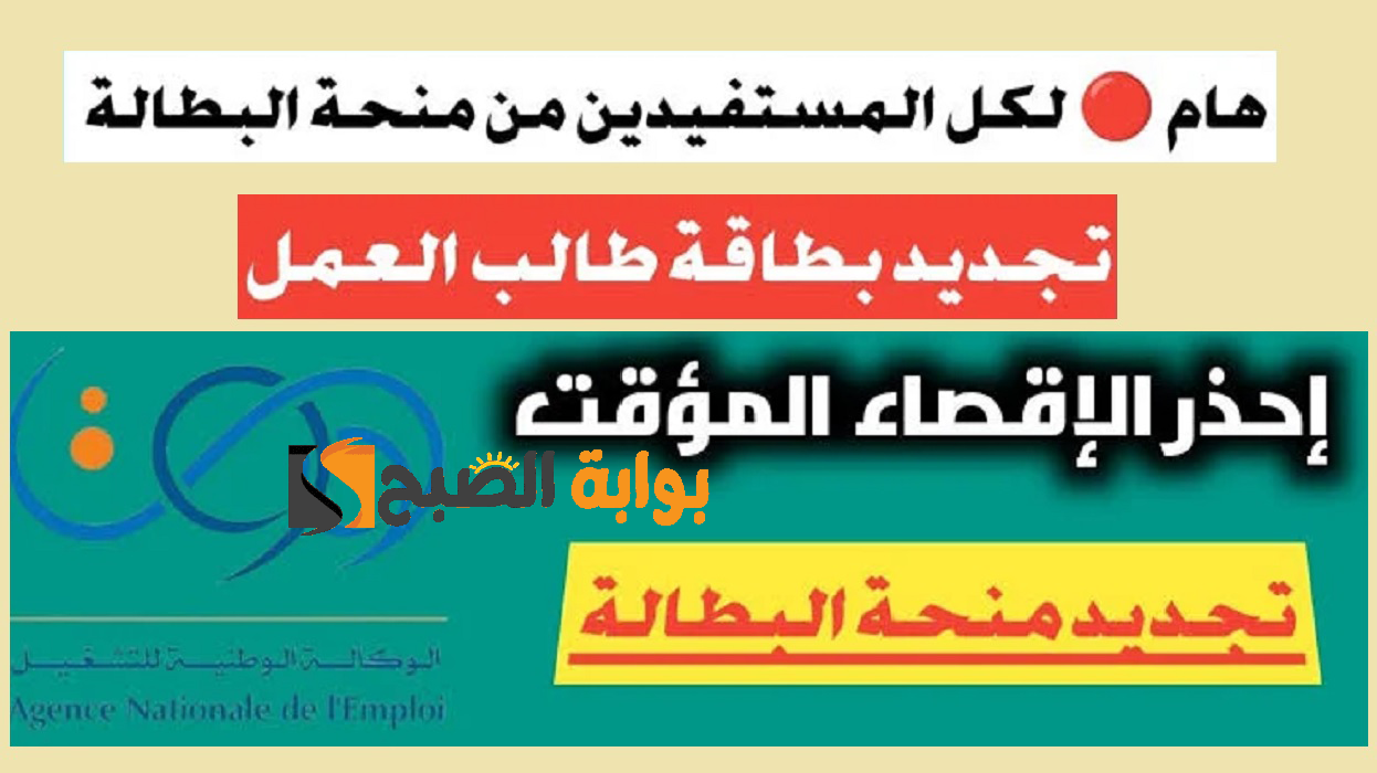 “جدد منحتك الآن”.. رابط تجديد منحة البطالة 2024 بالجزائر والشروط المطلوبة anem.dz