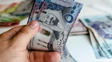 زيادة في الضمان