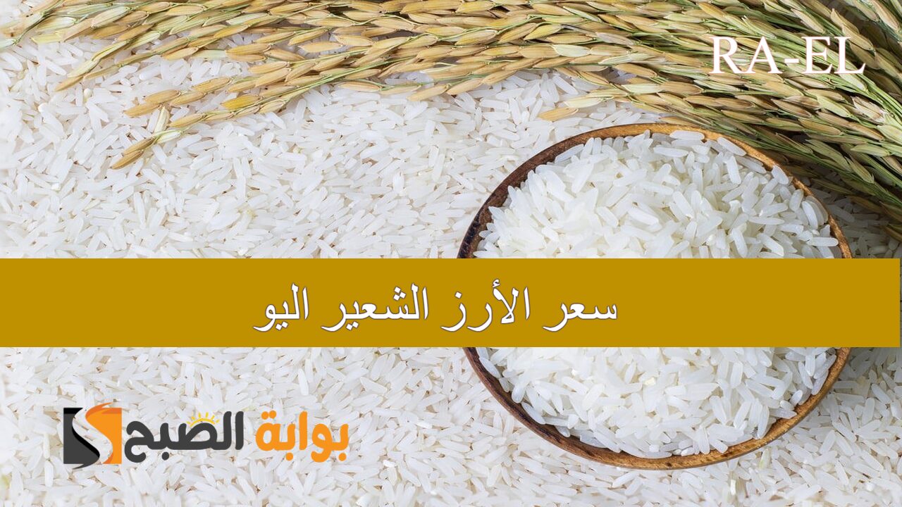 طن الأرز بكم ؟ سعر الأرز الشعير اليوم الاربعاء 4/9/2024 في الأسواق المصرية