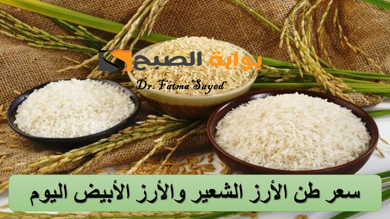 اعرفي هتخزني امته.. سعر طن الأرز الشعير والأرز الأبيض في مصر اليوم الإثنين 16 سبتمبر 2024 "الحبة العريضة والرفيعة" 5 اعرفي هتخزني امته.. سعر طن الأرز الشعير والأرز الأبيض في مصر اليوم الإثنين 16 سبتمبر 2024 “الحبة العريضة والرفيعة”