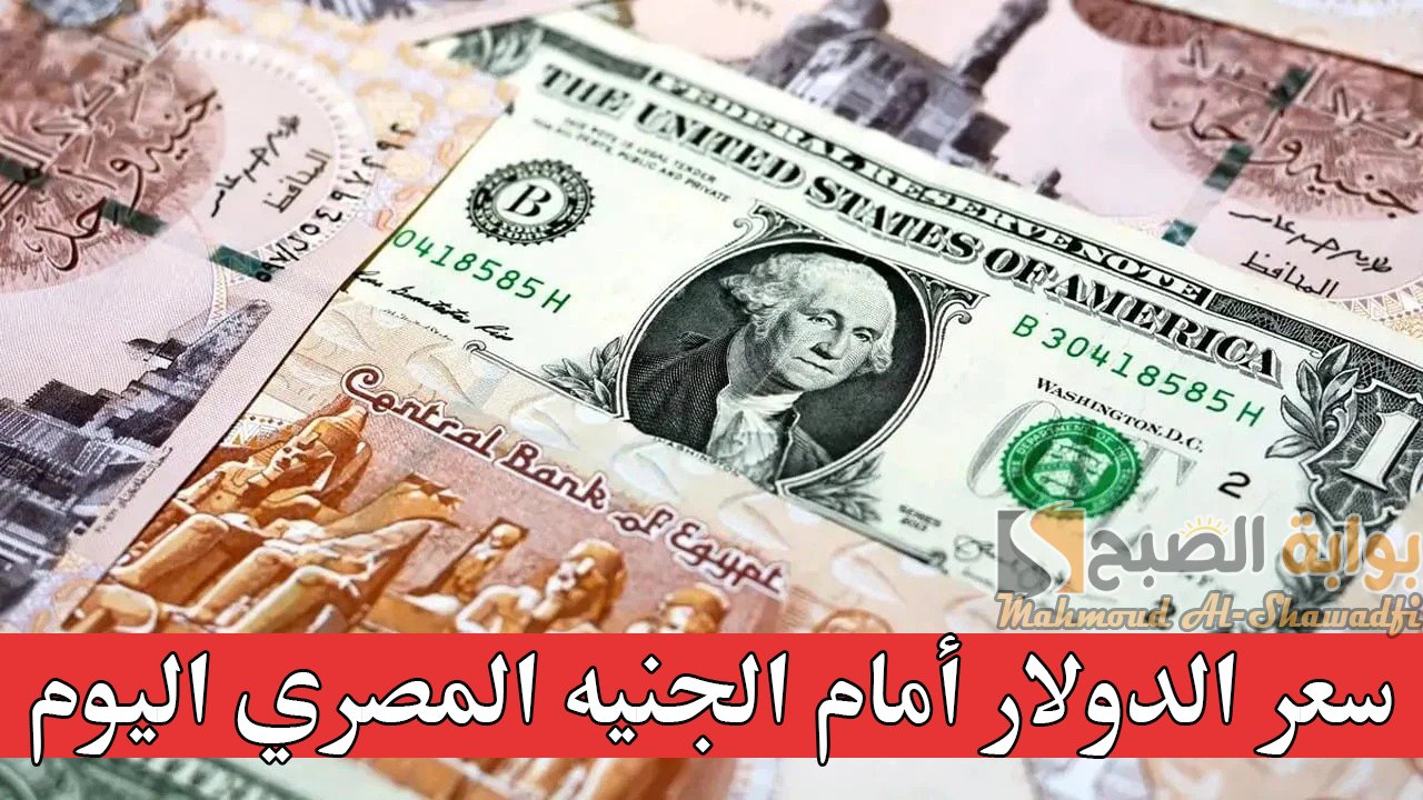 بعد التراجع الأخير.. مفاجأة في سعر الدولار أمام الجنيه المصري اليوم ببداية التعاملات