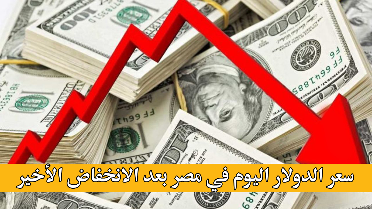 آخر تحديث.. سعر الدولار اليوم في مصر بعد الانخفاض الأخير