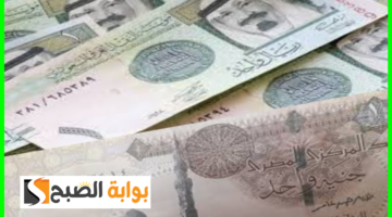 سعر الريال السعودي مقابل الجنيه