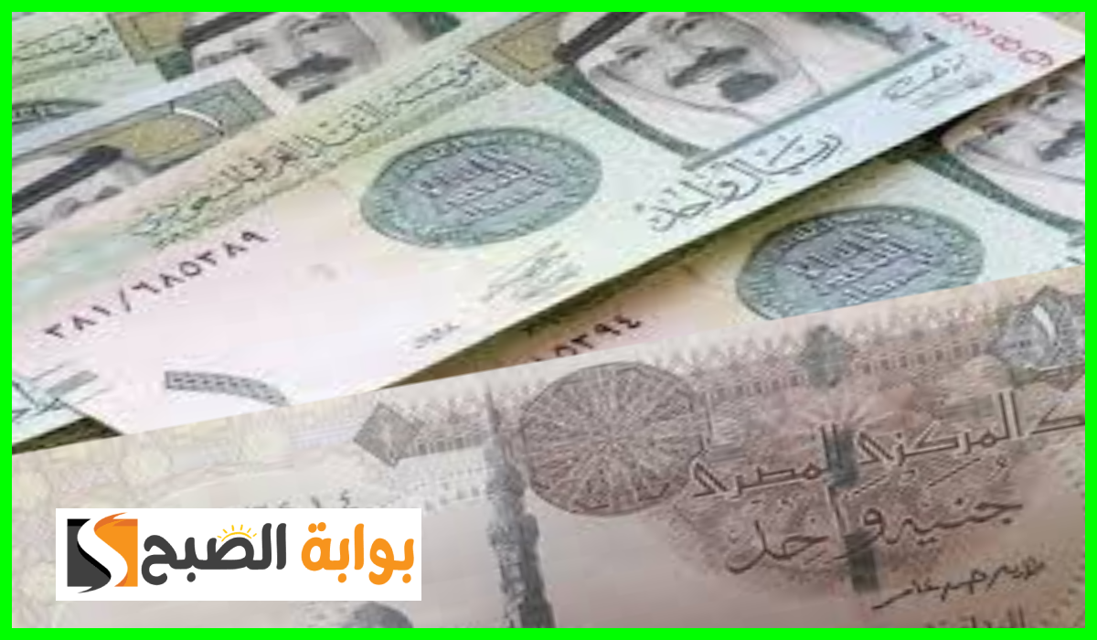 استقرار سعر الريال السعودي مقابل الجنيه المصري في معظم البنوك اليوم الثلاثاء 3-9-2024 5 استقرار سعر الريال السعودي مقابل الجنيه المصري في معظم البنوك اليوم الثلاثاء 3-9-2024