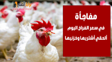 سعر الفرااخ اليوم