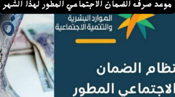 سعر الفراخ اليوم الأحد 22 92024 4