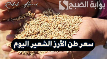 سعر طن الأرز الشعير اليوم 1