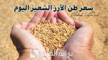 سعر طن الأرز الشعير اليوم 2