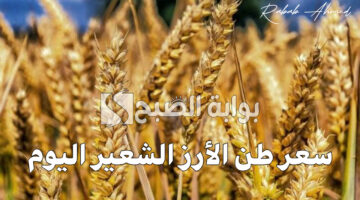 سعر طن الأرز الشعير اليوم 3