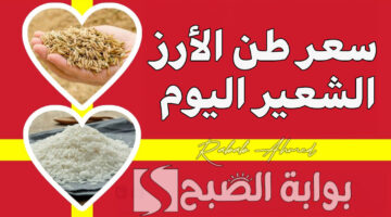 سعر طن الأرز الشعير اليوم