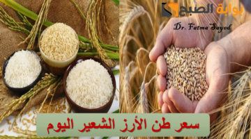 سعر طن الأرز الشعير اليوم
