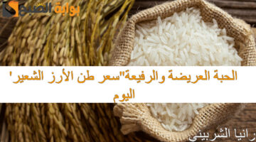 سعر طن الأرز الشعير اليوم 5 1