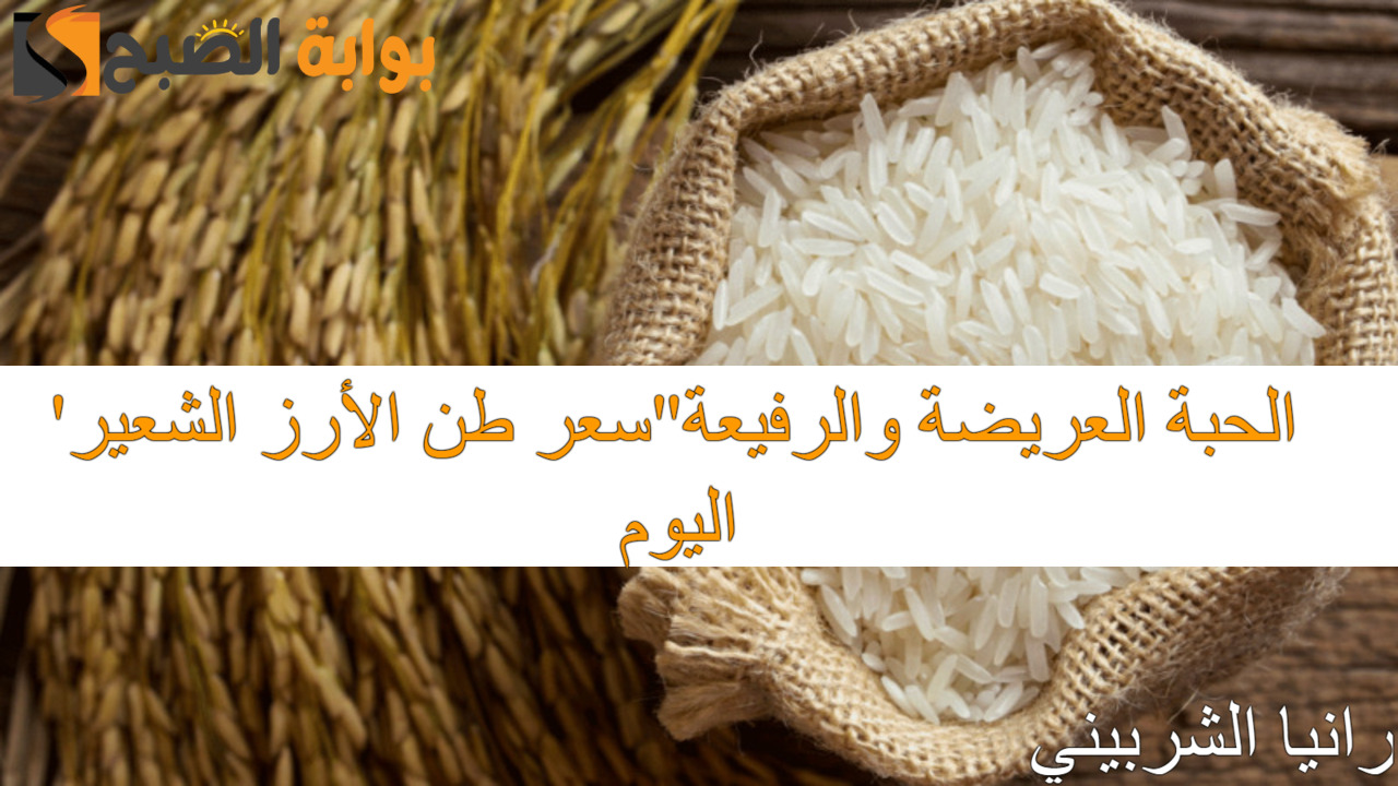 وصل لكام النهارده؟.. سعر طن الأرز الشعير اليوم السبت 8 سبتمبر 2024 الحبة العريضة والرفيعة في مصر