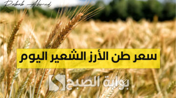 سعر طن الأرز الشعير اليوم 5
