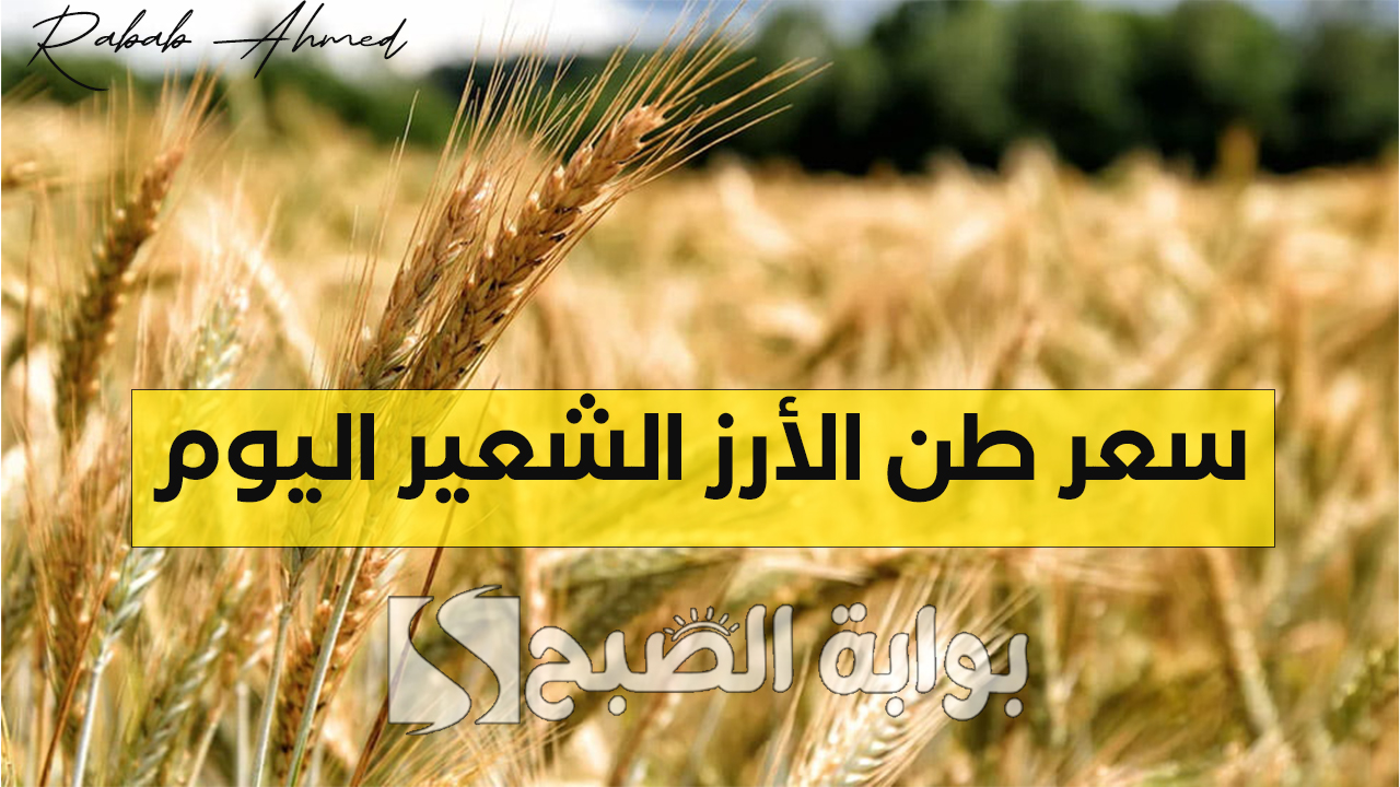 "جهود كبيرة من وزارة التموين".. سعر طن الأرز الشعير اليوم الإثنين 30 سبتمبر 2024 وأسعار السلع الأساسية 5 “جهود كبيرة من وزارة التموين”.. سعر طن الأرز الشعير اليوم الإثنين 30 سبتمبر 2024 وأسعار السلع الأساسية
