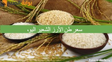 سعر طن الأرز الشعير اليوم 7