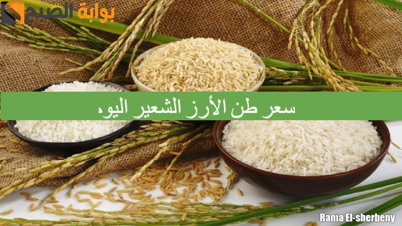 كم سعر طن الأرز الشعير اليوم الإربعاء 18/9/2024 الحبة العريضة والرفيعة بالأسواق مع موسم الحصاد 5 كم سعر طن الأرز الشعير اليوم الإربعاء 18/9/2024 الحبة العريضة والرفيعة بالأسواق مع موسم الحصاد