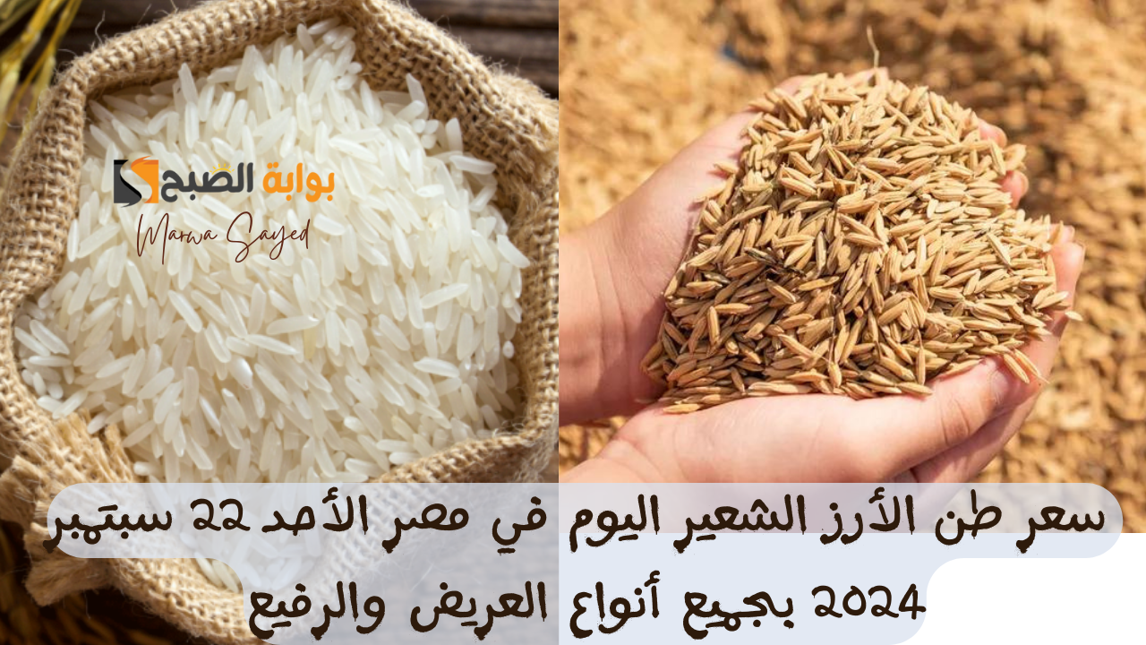 "هل سيظل أسعار أرز الشعير مرتفعة رغم توفره؟".. إليك سعر الطن اليوم في مصر الأحد 22 سبتمبر 2024 بجميع أنواع العريض والرفيع 5 “هل سيظل أسعار أرز الشعير مرتفعة رغم توفره؟”.. إليك سعر الطن اليوم في مصر الأحد 22 سبتمبر 2024 بجميع أنواع العريض والرفيع