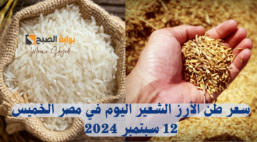 سعر طن الأرز الشعير اليوم في مصر الخميس 12 سبتمبر 2024