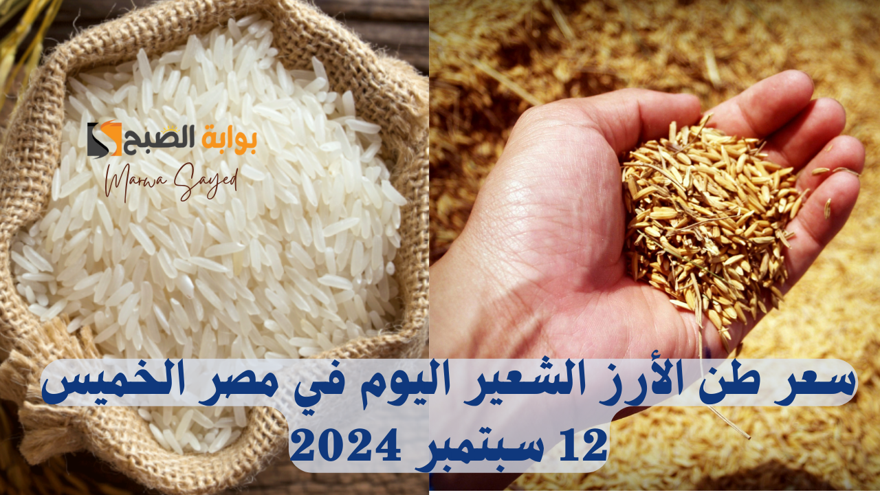 "الكيلو وصل كام اليوم" .. سعر طن الأرز الشعير اليوم في مصر الخميس 12 سبتمبر 2024 بأنواعه العريض والرفيع 5 “الكيلو وصل كام اليوم” .. سعر طن الأرز الشعير اليوم في مصر الخميس 12 سبتمبر 2024 بأنواعه العريض والرفيع