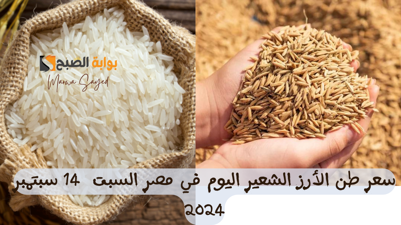 “بعد ارتفاع سعر الكيلو” .. تعرف على سعر طن أرز الشعير اليوم السبت 14 سبتمبر 2024 في مصر بكافة الأنواع العريض والرفيع