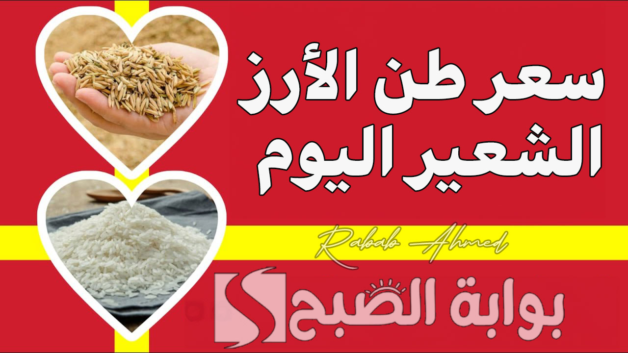 "بكام الرز النهاردة".. سعر طن الأرز الشعير اليوم الأربعاء 11 سبتمبر وكيلو "الأرز الأبيض" العريض والرفيع 5 “بكام الرز النهاردة”.. سعر طن الأرز الشعير اليوم الأربعاء 11 سبتمبر وكيلو “الأرز الأبيض” العريض والرفيع