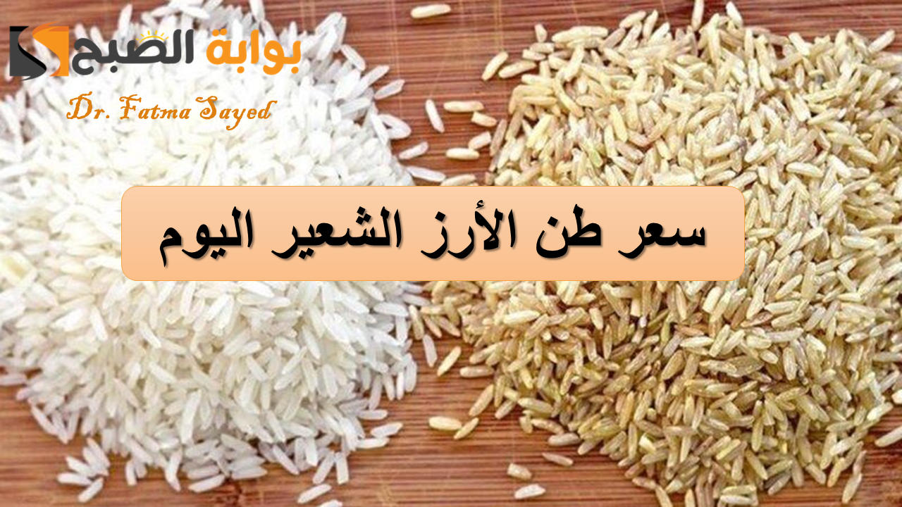 وصل كام؟.. سعر طن الأرز الشعير في مصر اليوم الأربعاء 4 سبتمبر 2024 “الحبة الرفيعة والعريضة”