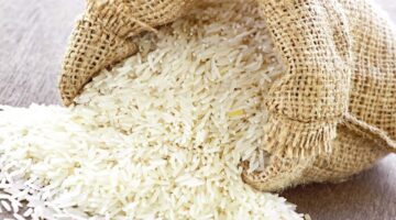 سعر طن الارز الشعير اليوم 1
