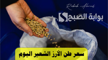 سعر طن الارز الشعير اليوم 2