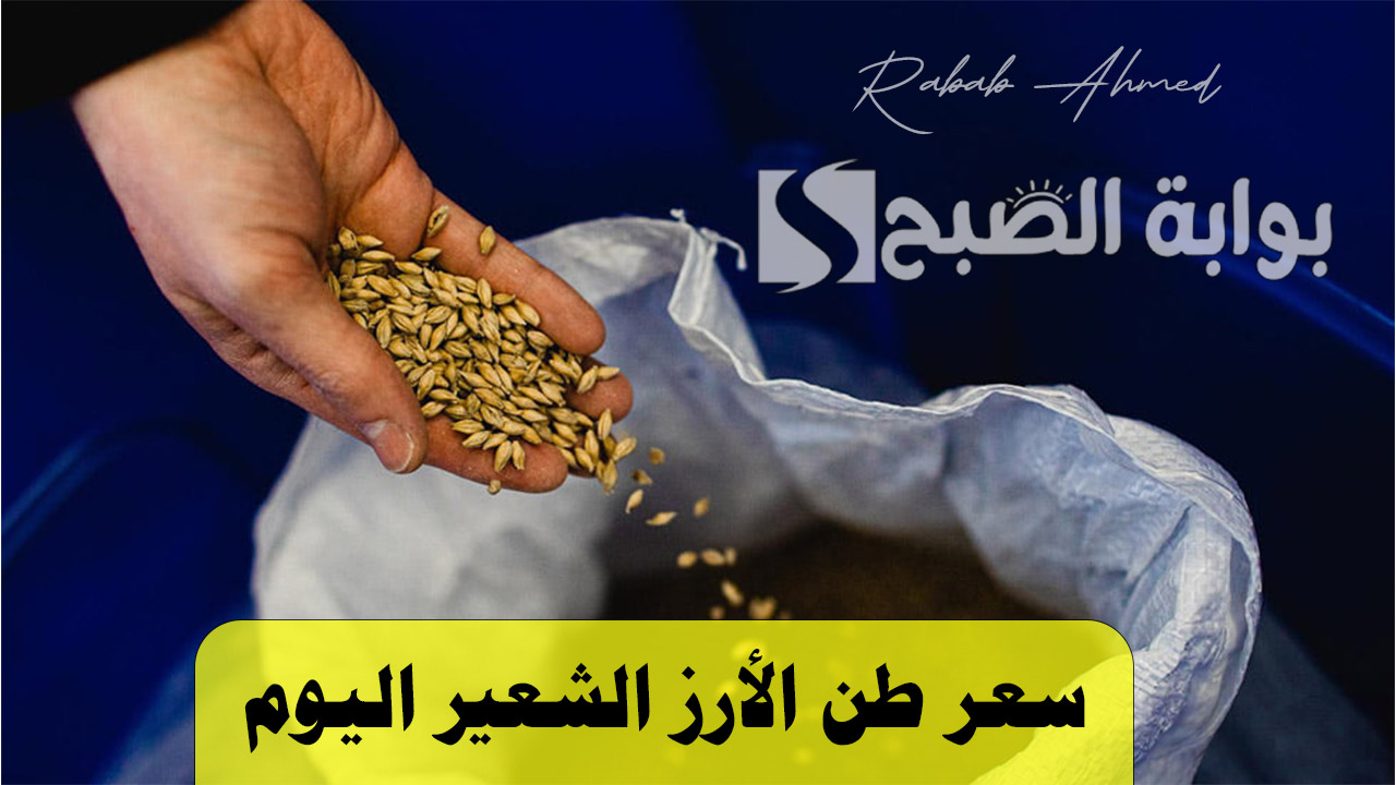“طن الشعير بكام النهاردة”.. سعر طن الارز الشعير اليوم الأحد 8 سبتمبر وتغييرات جديدة في السلع الأساسية