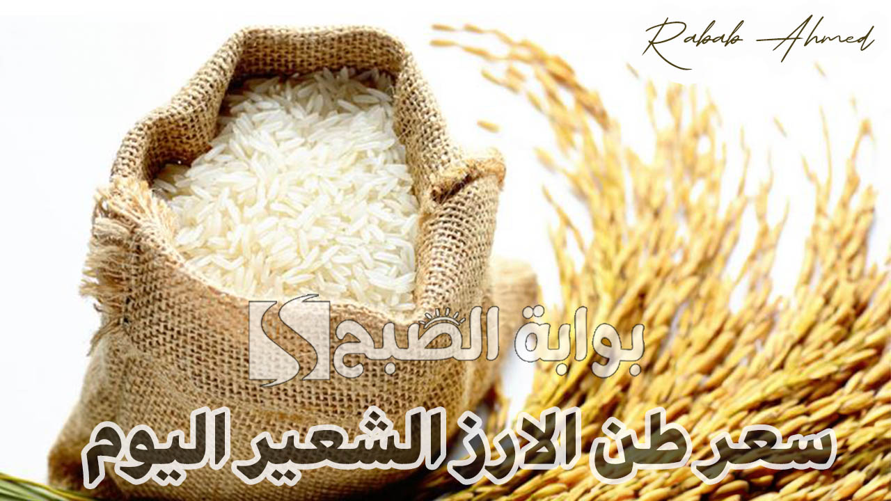 “استقرار ملحوظ”.. سعر طن الارز الشعير اليوم السبت 14 سبتمبر وأسعاء السلع الاساسية في الأسواق