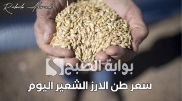 سعر طن الارز الشعير اليوم الأثنين 9 سبتمبر