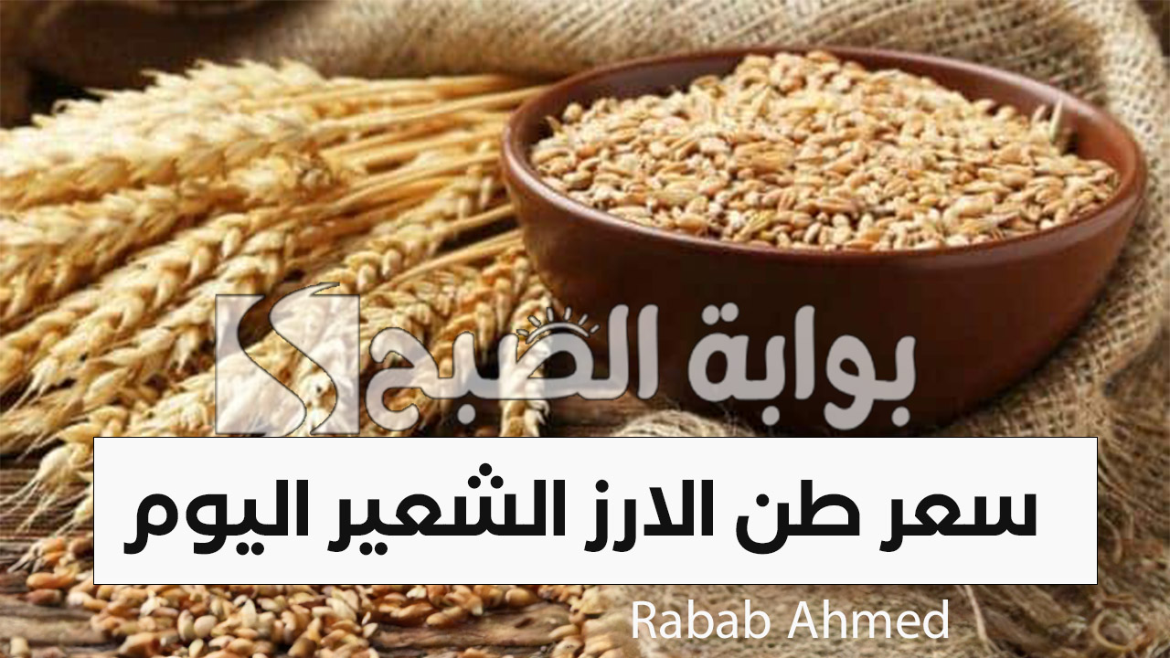 “وصل لكام النهاردة”.. سعر طن الارز الشعير اليوم الجمعة 6 سبتمبر وأسعار السلع الغذائية