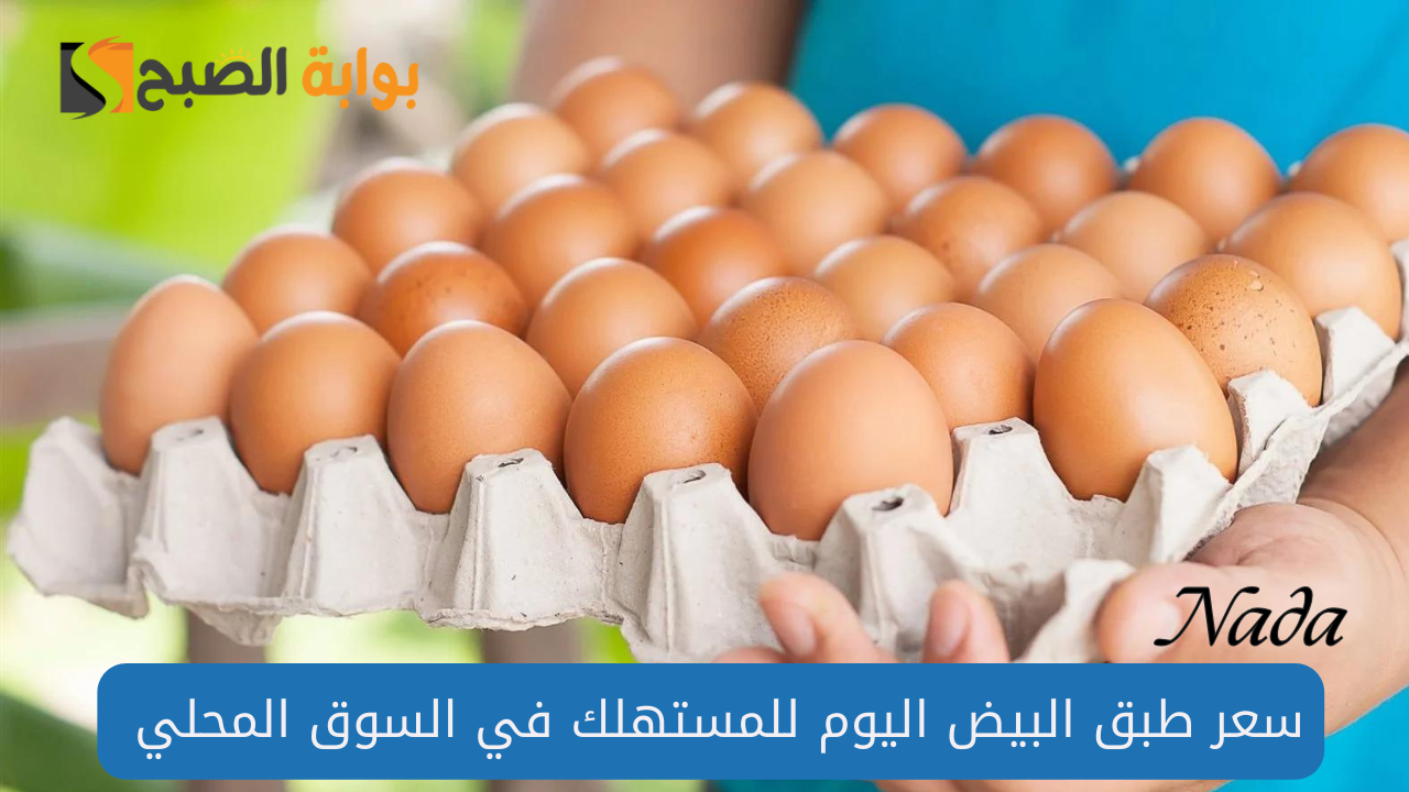 سعر كرتونة البيض اليوم 12 سبتمبر 2024 في السوق المحلي