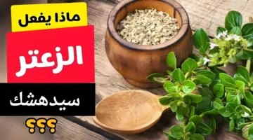 سيدهشك 20240912 162726 ٠٠٠٠