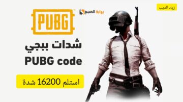 شحن شدات ببجي 1