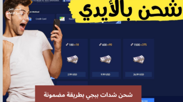 شحن شدات ببجي 3