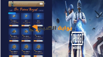 شحن شدات ببجي