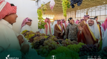 شروط الحصول على دعم الفواكه من ريف