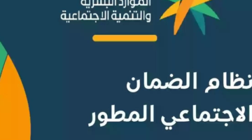 شروط الضمان الاجتماعي المطور للأعزب