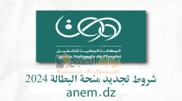 شروط تجديد منحة البطالة 2024