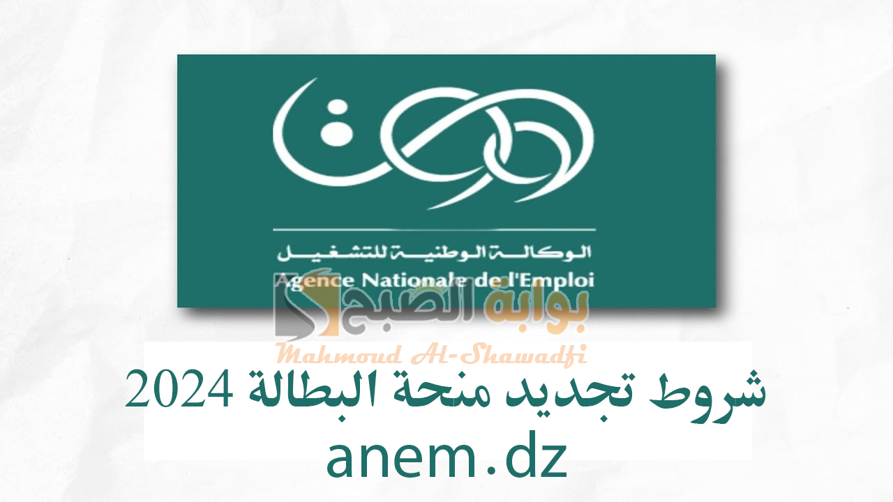لينك anem.dz.. شروط تجديد منحة البطالة 2024 وخطوات التجديد عبر الوكالة الوطنية للتشغيل