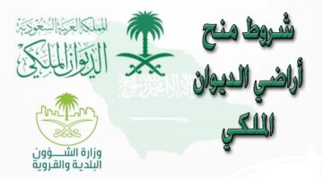 شروط منحة الأراضي المجانية من الديوان الملكي 2024 وطريقة التسجيل 1